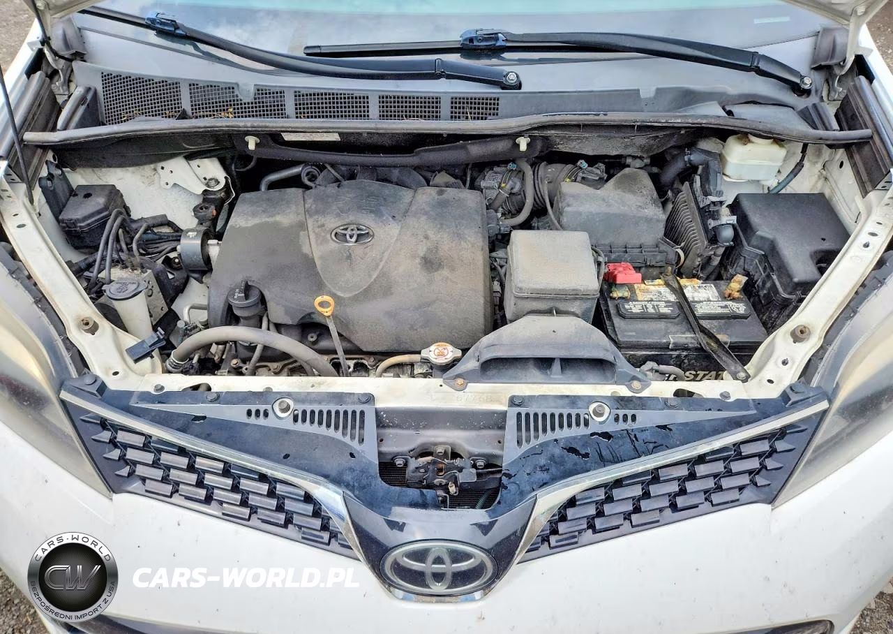 2019 Toyota Sienna Se 7-Passenger VIN:5TDEZ3DC3KS221139 - 12