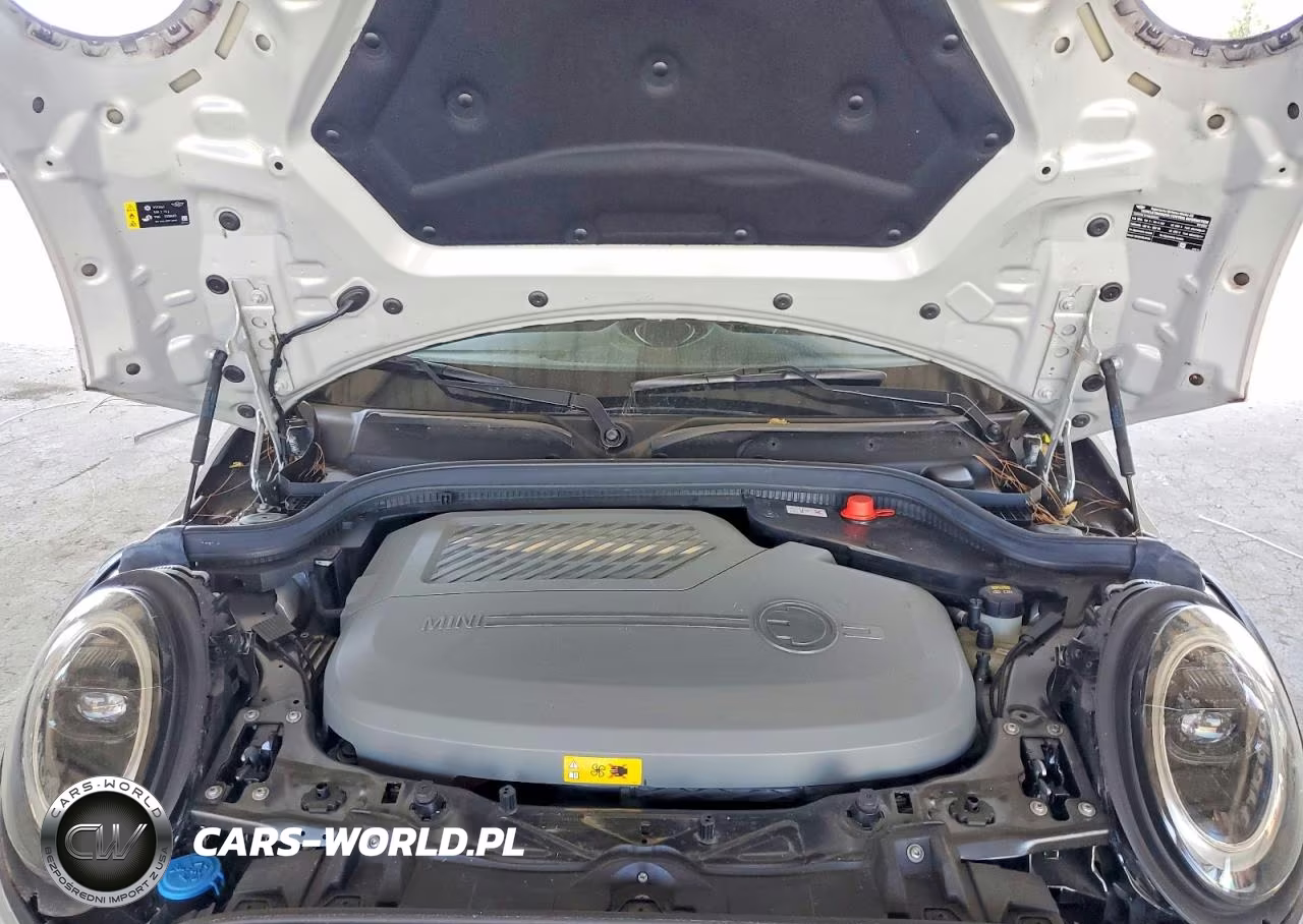 2022 Mini Cooper Se VIN:WMW13DJ07N2R94396 - 11