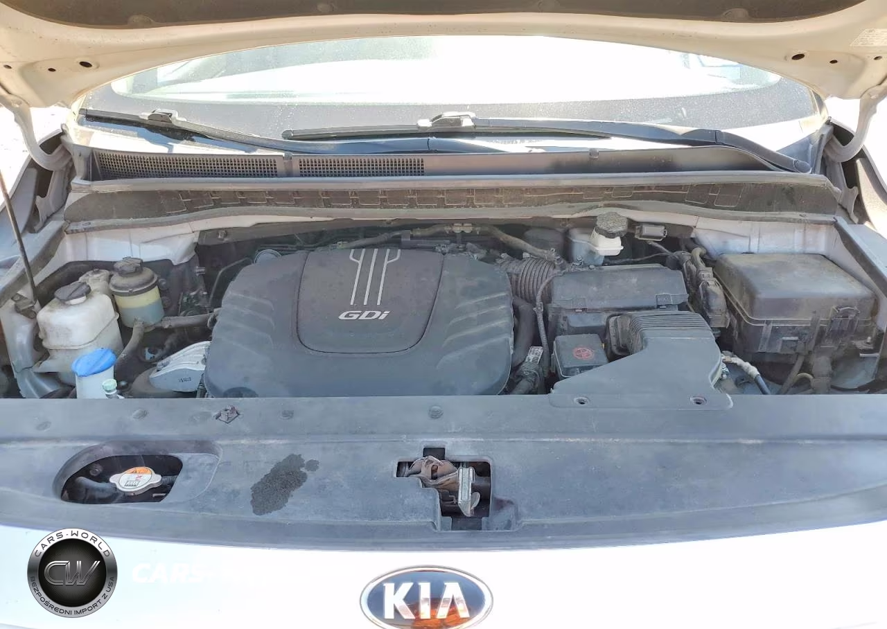 2016 Kia Sedona Lx VIN:KNDMB5C12G6164497 - 12