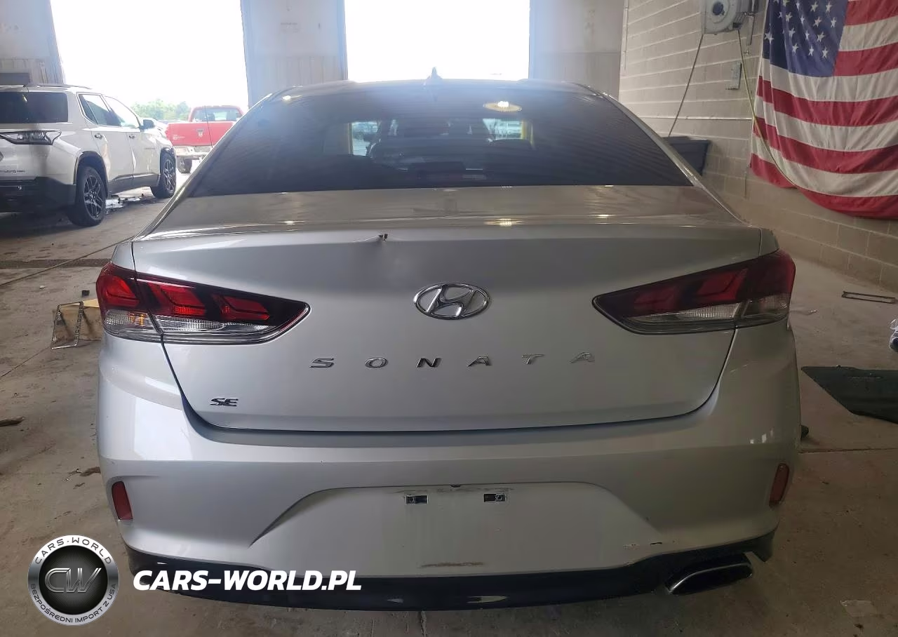 2019 Hyundai Sonata Se VIN:5NPE24AF2KH796332 - 6