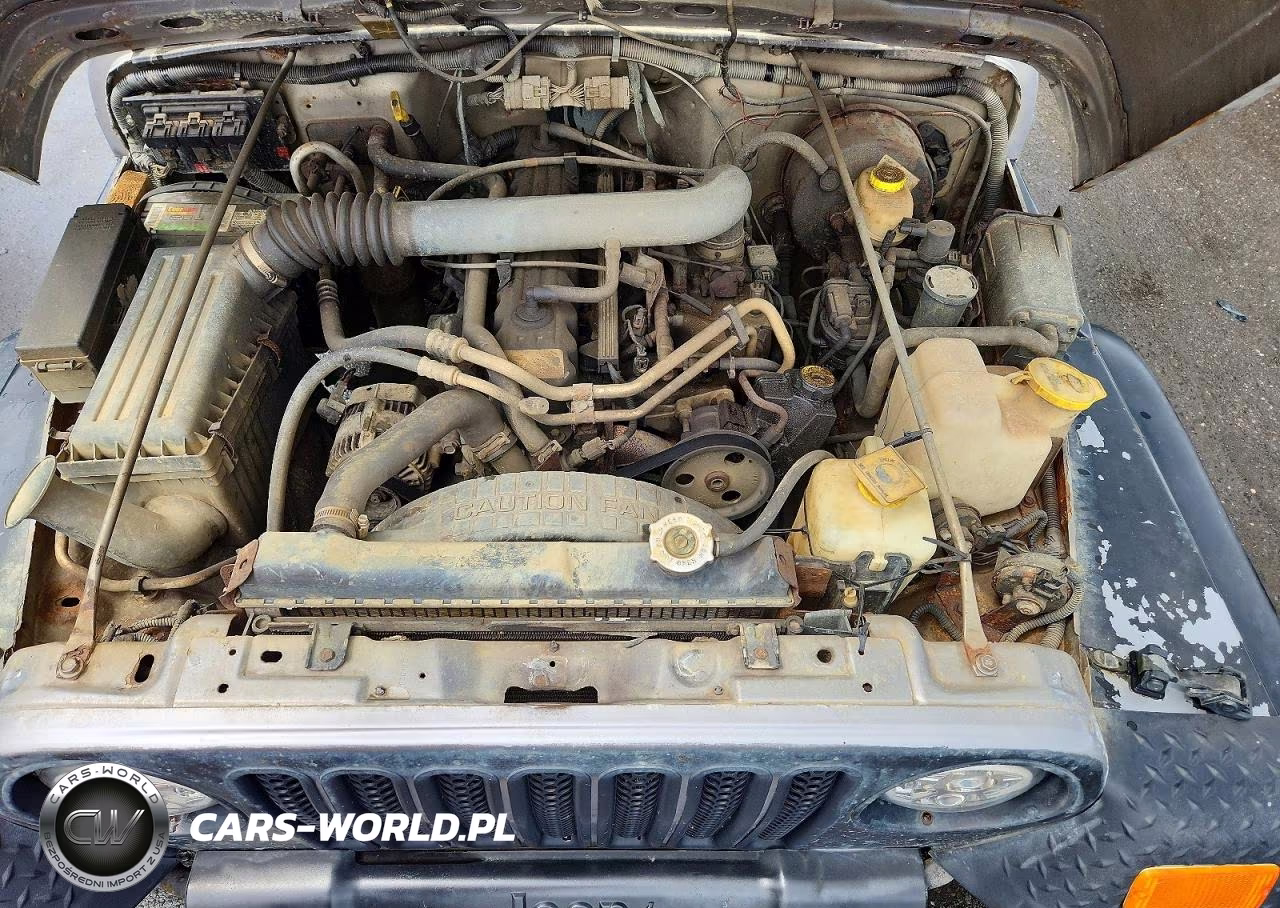 2001 Jeep Wrangler - Tj Sport VIN:1J4FA49S41P300226 - 11
