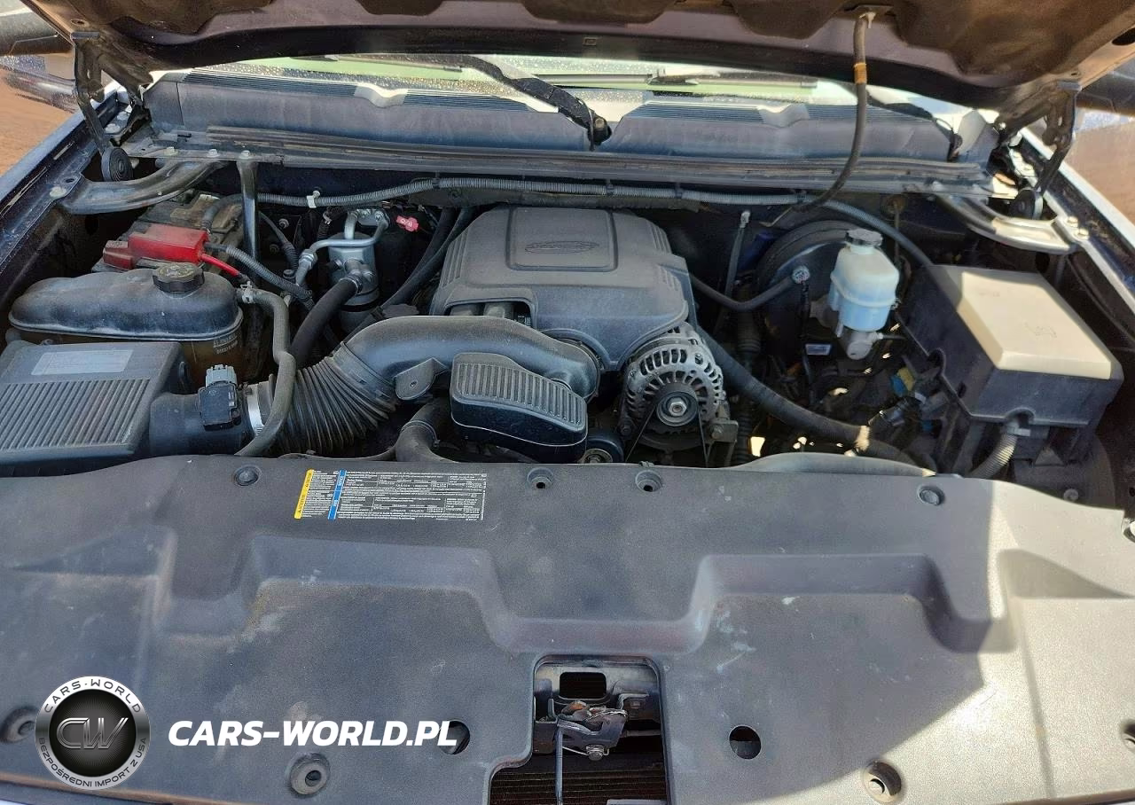 2010 Chevrolet Silverado VIN:1GCSKPEA0AZ271196 - 11