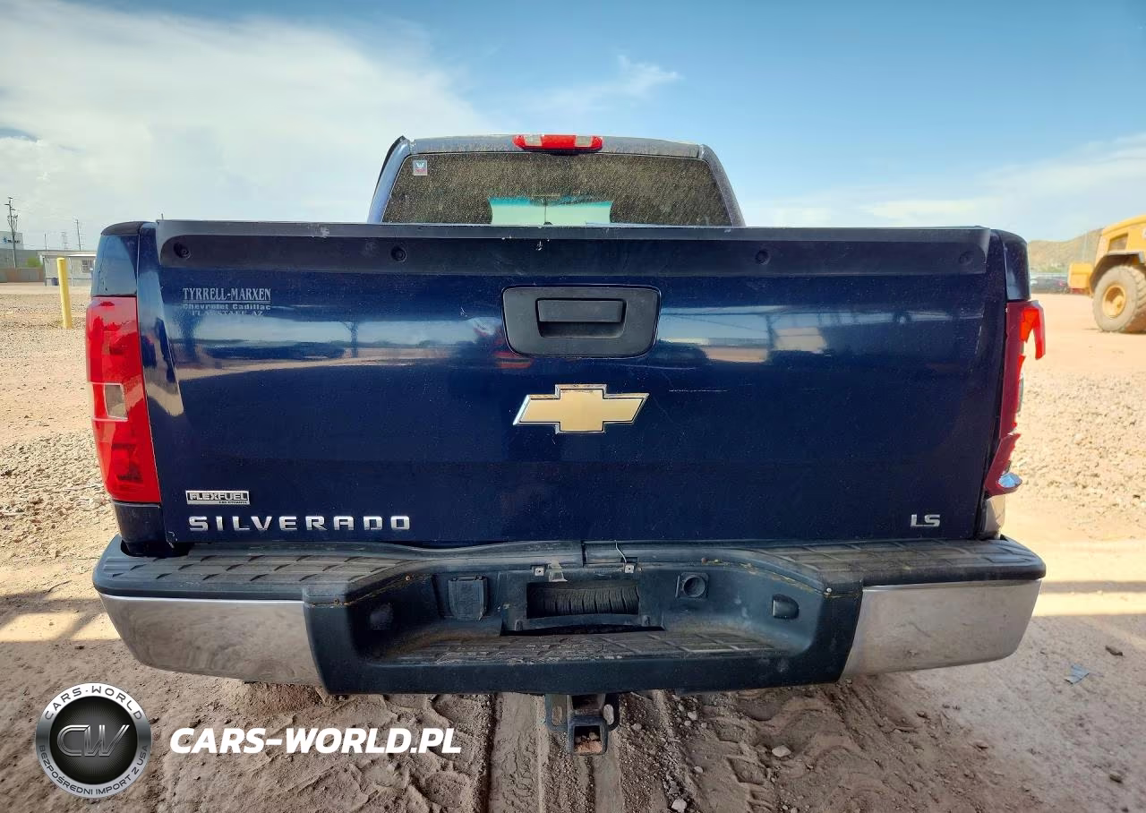 2010 Chevrolet Silverado VIN:1GCSKPEA0AZ271196 - 6
