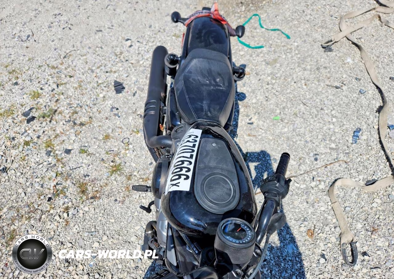 2024 Harley-Davidson Rh975 VIN:1HD1ZH119RB307957 - 5