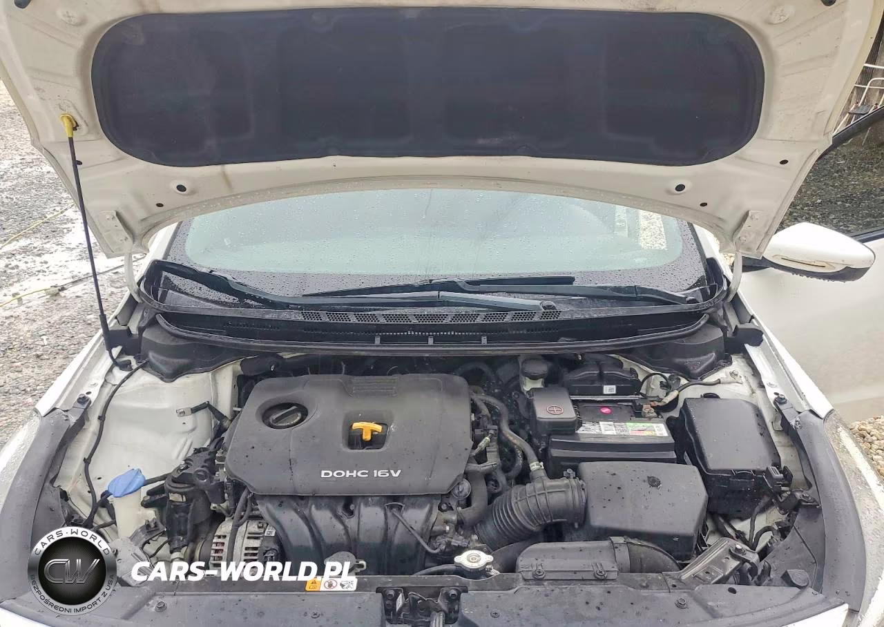 2017 Kia Forte Lx VIN:3KPFK4A75HE143164 - 11