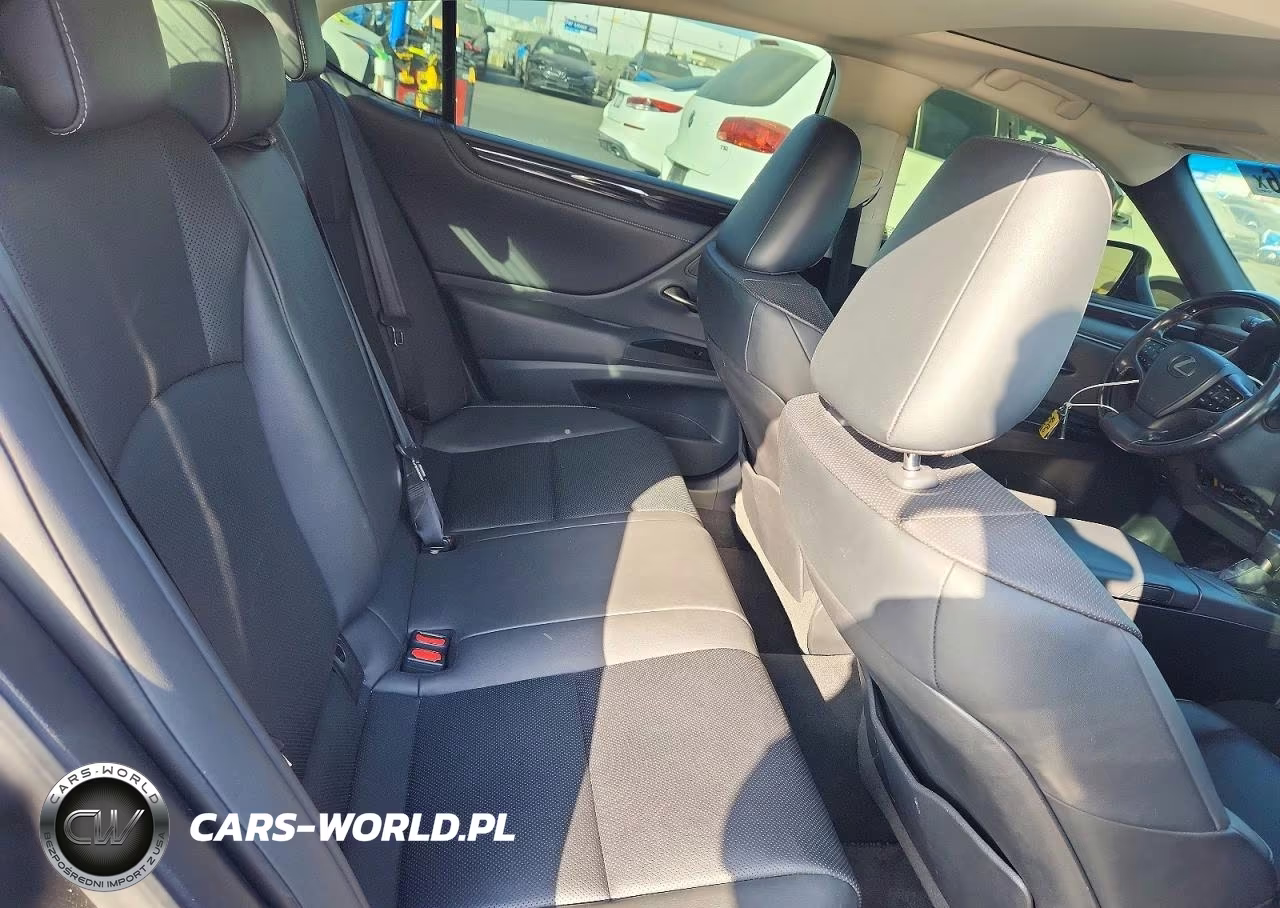 2020 Lexus Es 300H VIN:58AD21B19LU012060 - 10