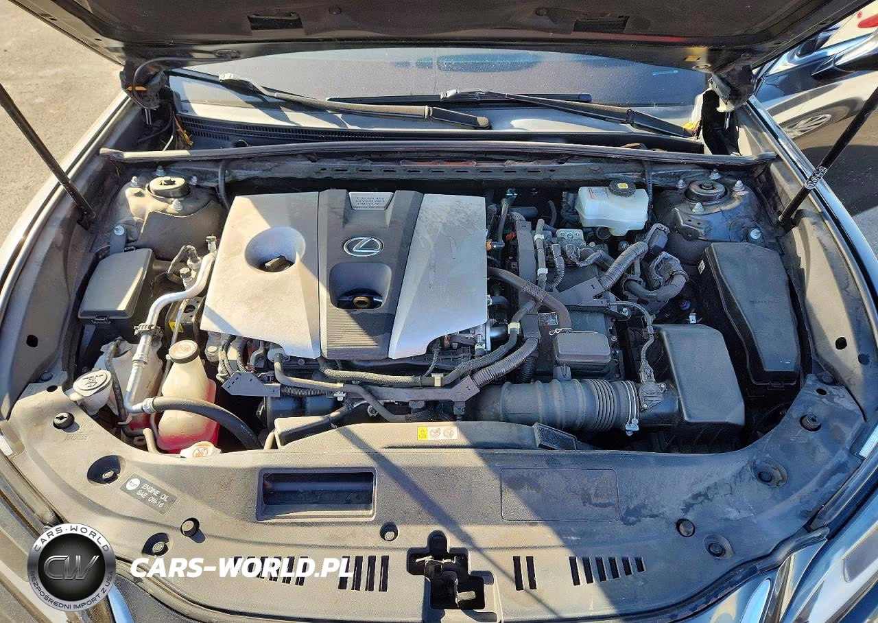2020 Lexus Es 300H VIN:58AD21B19LU012060 - 11