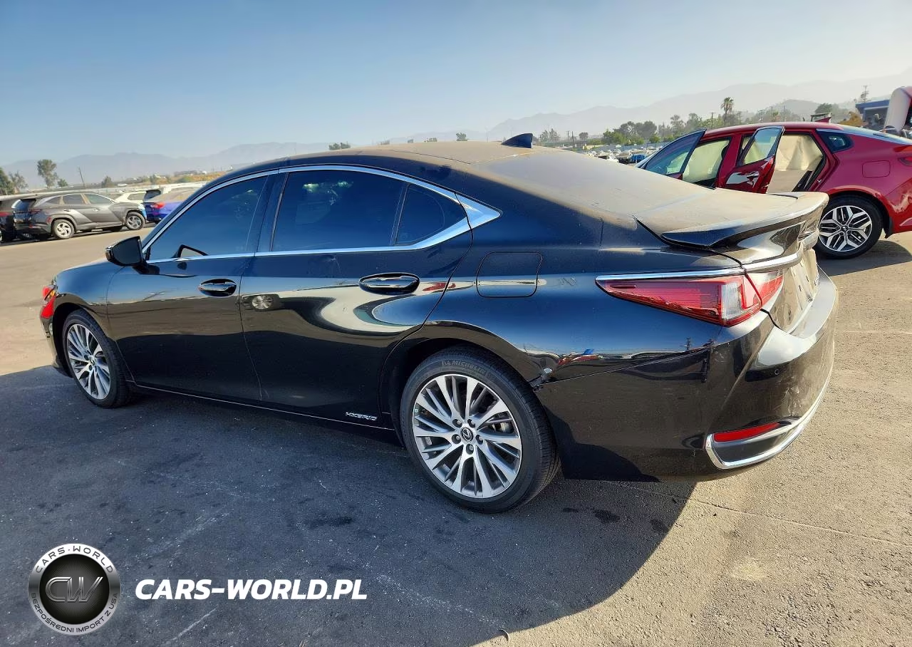 2020 Lexus Es 300H VIN:58AD21B19LU012060 - 2