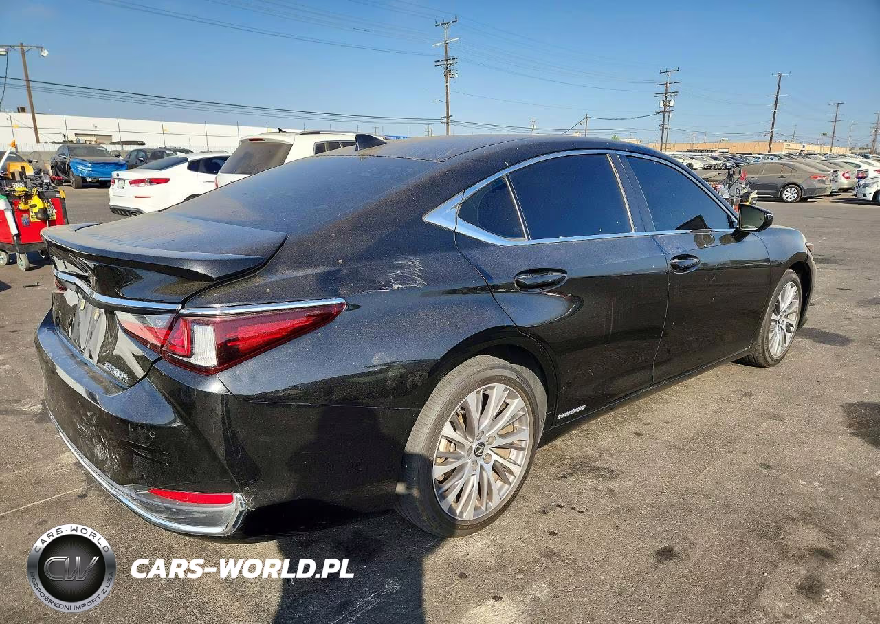2020 Lexus Es 300H VIN:58AD21B19LU012060 - 3