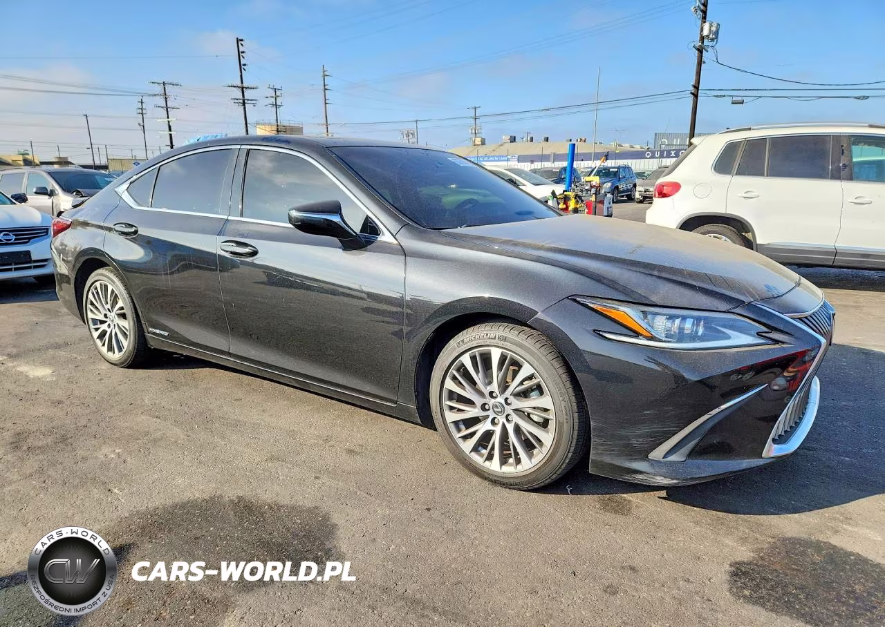 2020 Lexus Es 300H VIN:58AD21B19LU012060 - 4