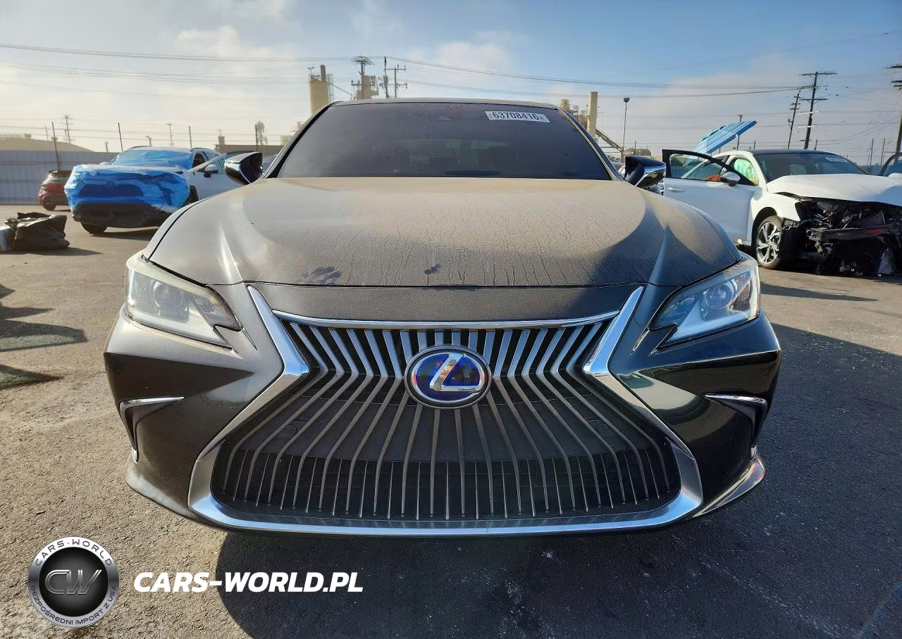 2020 Lexus Es 300H VIN:58AD21B19LU012060 - 5
