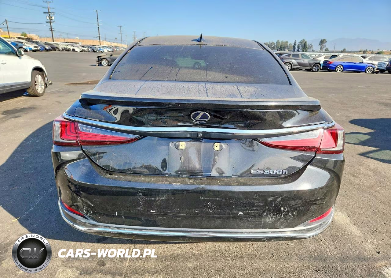 2020 Lexus Es 300H VIN:58AD21B19LU012060 - 6