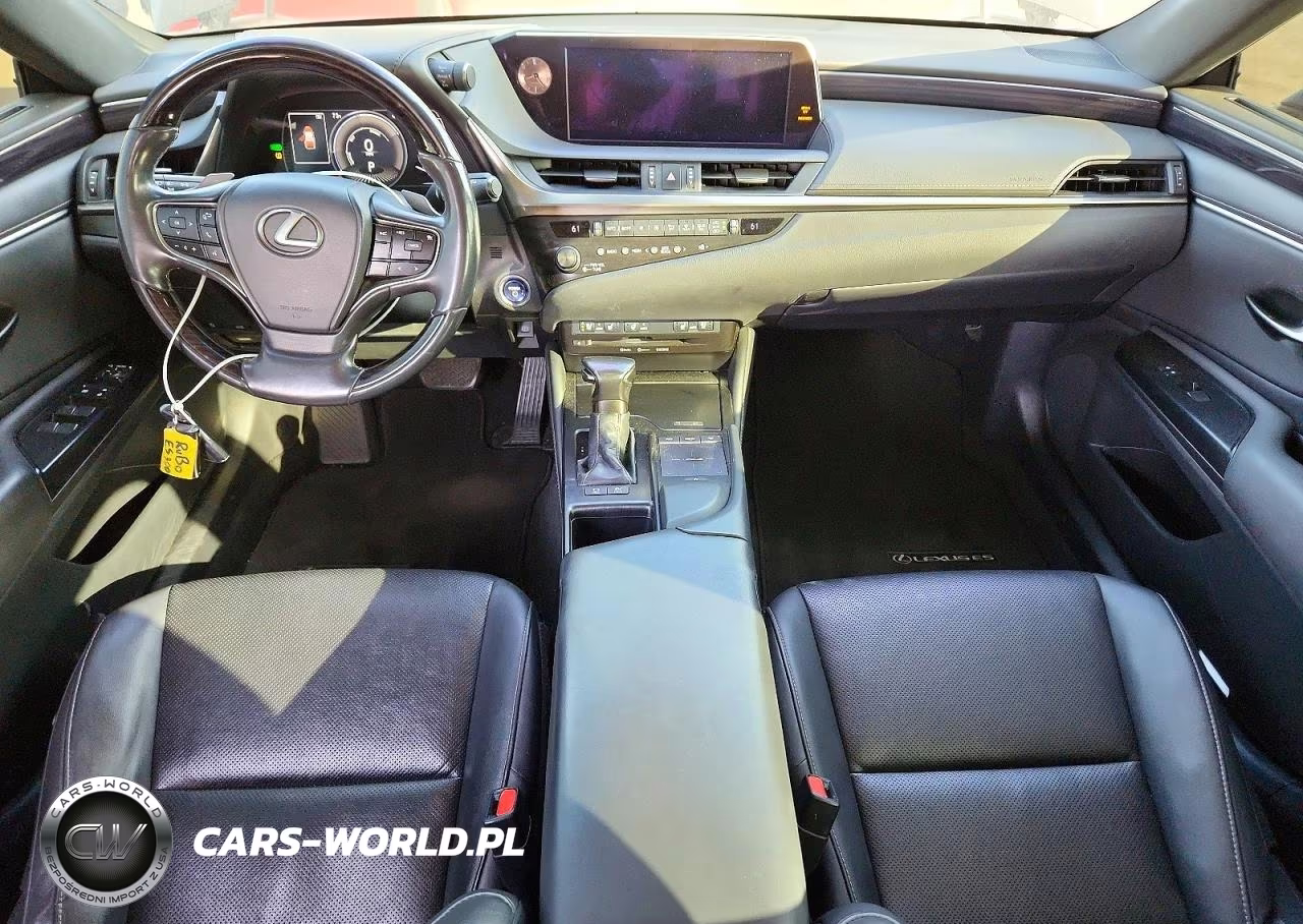 2020 Lexus Es 300H VIN:58AD21B19LU012060 - 8