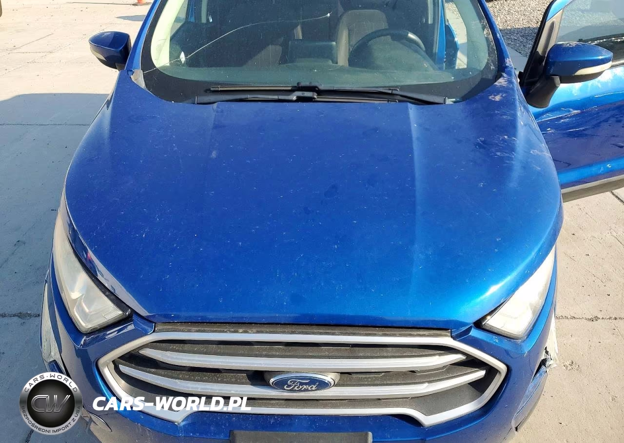 2019 Ford Ecosport Se VIN:MAJ3S2GEXKC308269 - 11