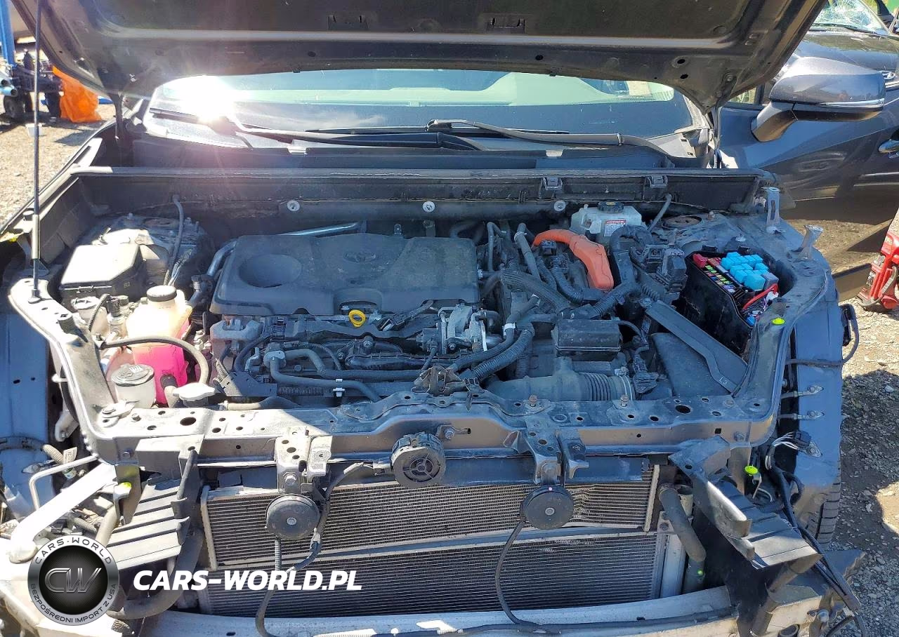 2019 Toyota Rav4 Hybrid Xle VIN:JTMRWRFV4KD004190 - 12