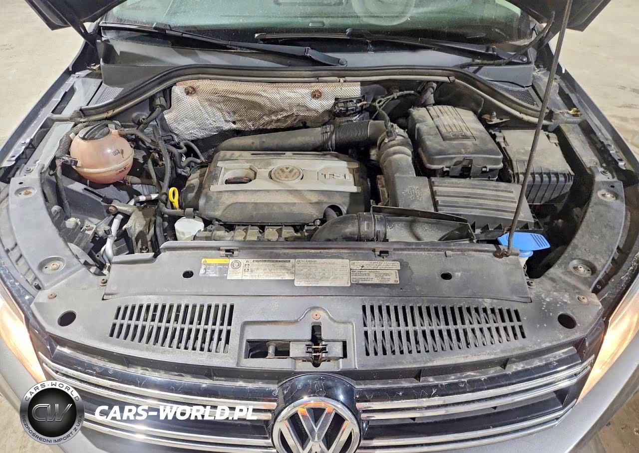 2013 Volkswagen Tiguan S VIN:WVGBV3AX4DW612515 - 12