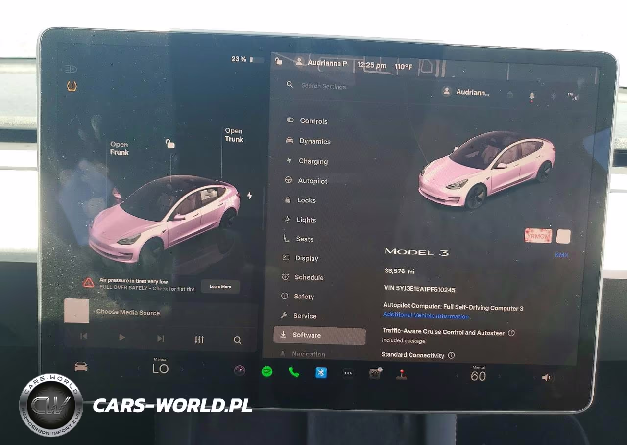 2023 Tesla Model 3 VIN:5YJ3E1EA1PF510245 - 9