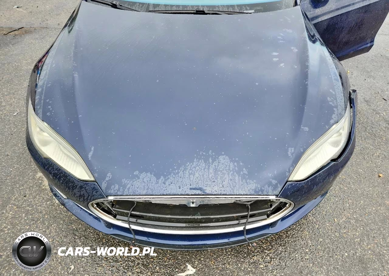 2014 Tesla Model S VIN:5YJSA1H21EFP62912 - 11
