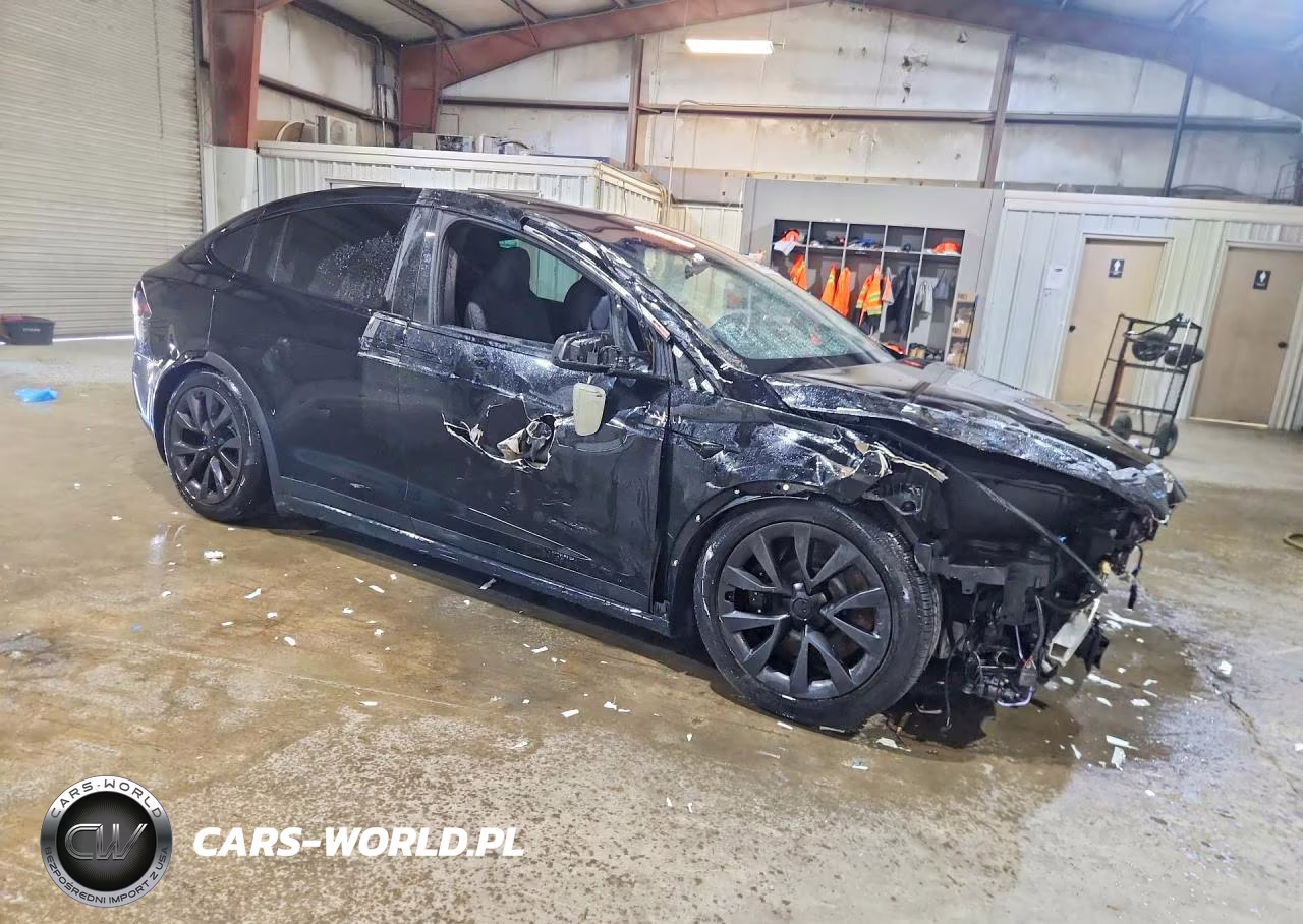 2024 Tesla Model X VIN:7SAXCDE59RF442083 - 4