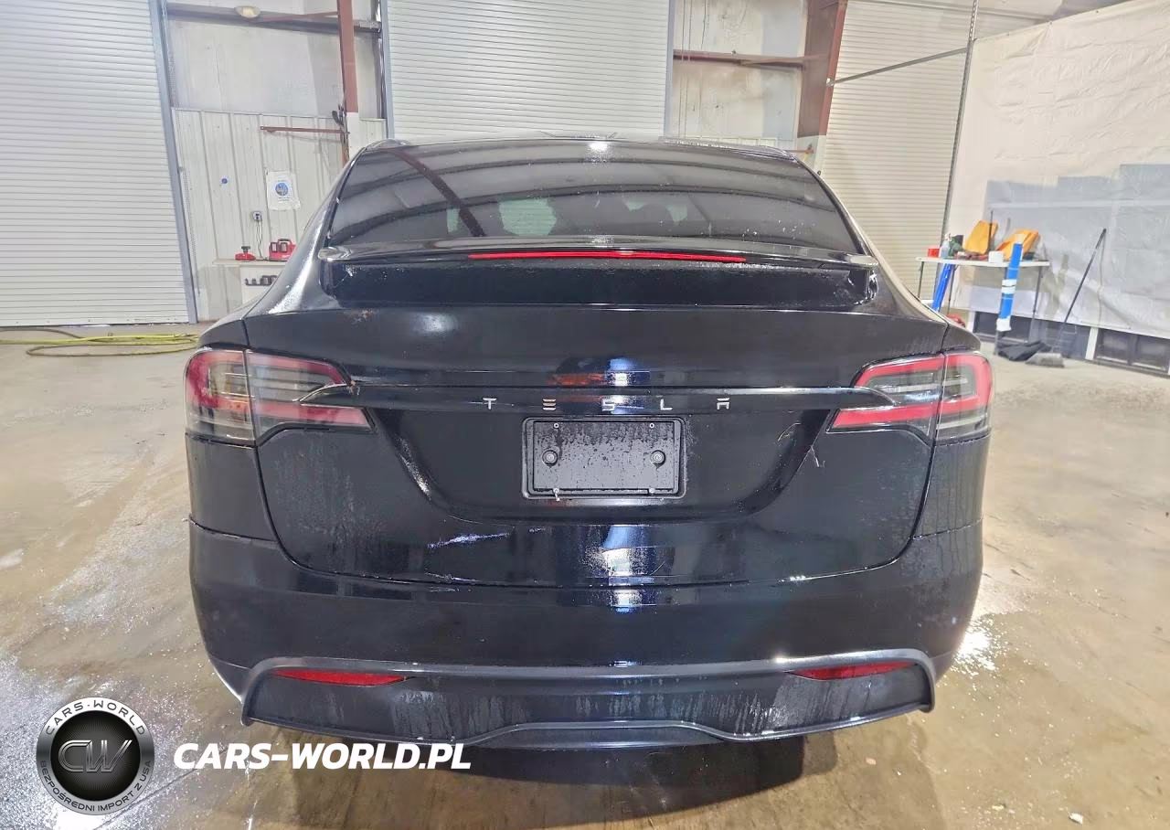 2024 Tesla Model X VIN:7SAXCDE59RF442083 - 6