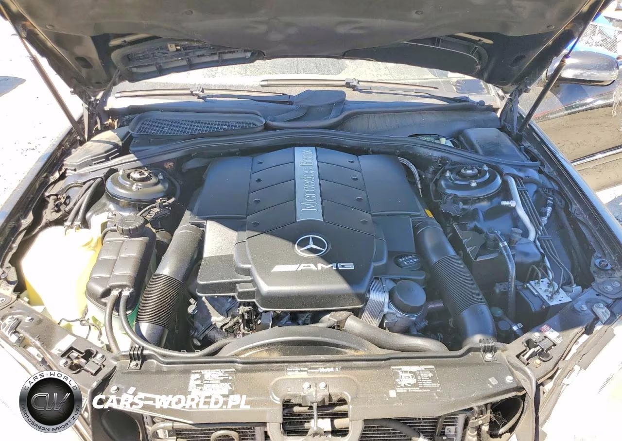 2002 Mercedes-Benz S 55 Amg VIN:WDBNG73J32A293676 - 11