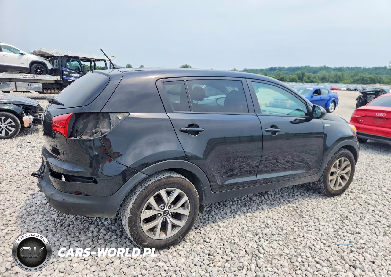 2016 Kia Sportage Lx VIN:KNDPBCAC4G7879037 - 3