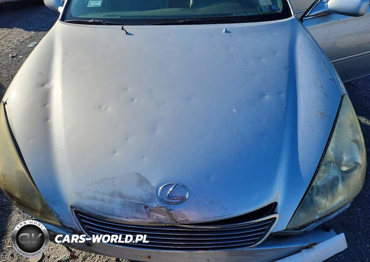 2005 Lexus Es 330 VIN:JTHBA30G455074762 - 11