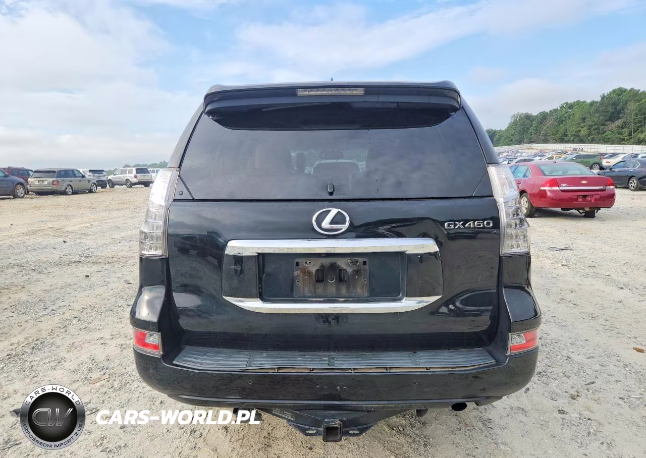 2017 Lexus Gx 460 VIN:JTJBM7FX3H5165711 - 6