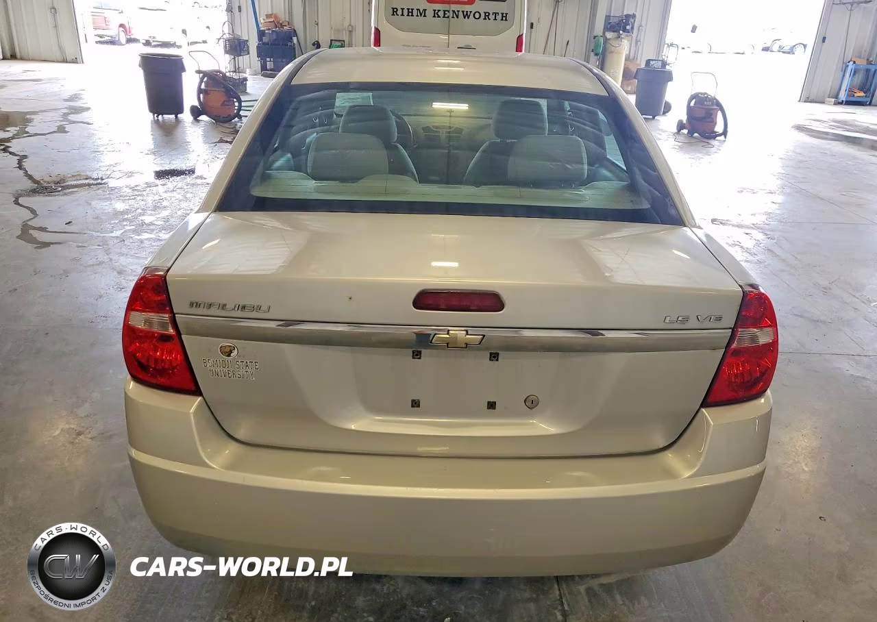 2005 Chevrolet Malibu Ls VIN:1G1ZT52885F220496 - 6