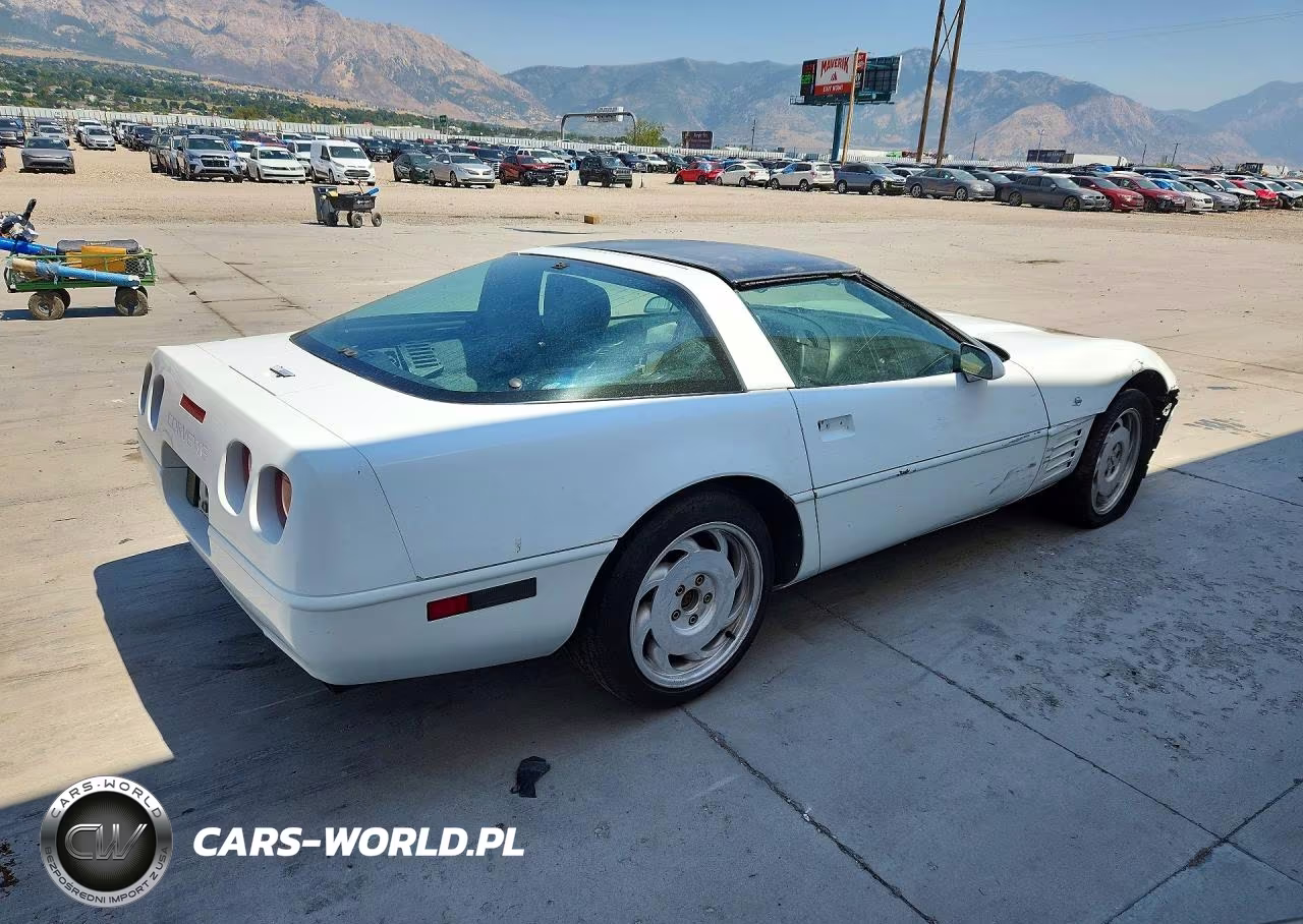 1993 Chevrolet Corvette VIN:1G1YY23P0P5102629 - 3