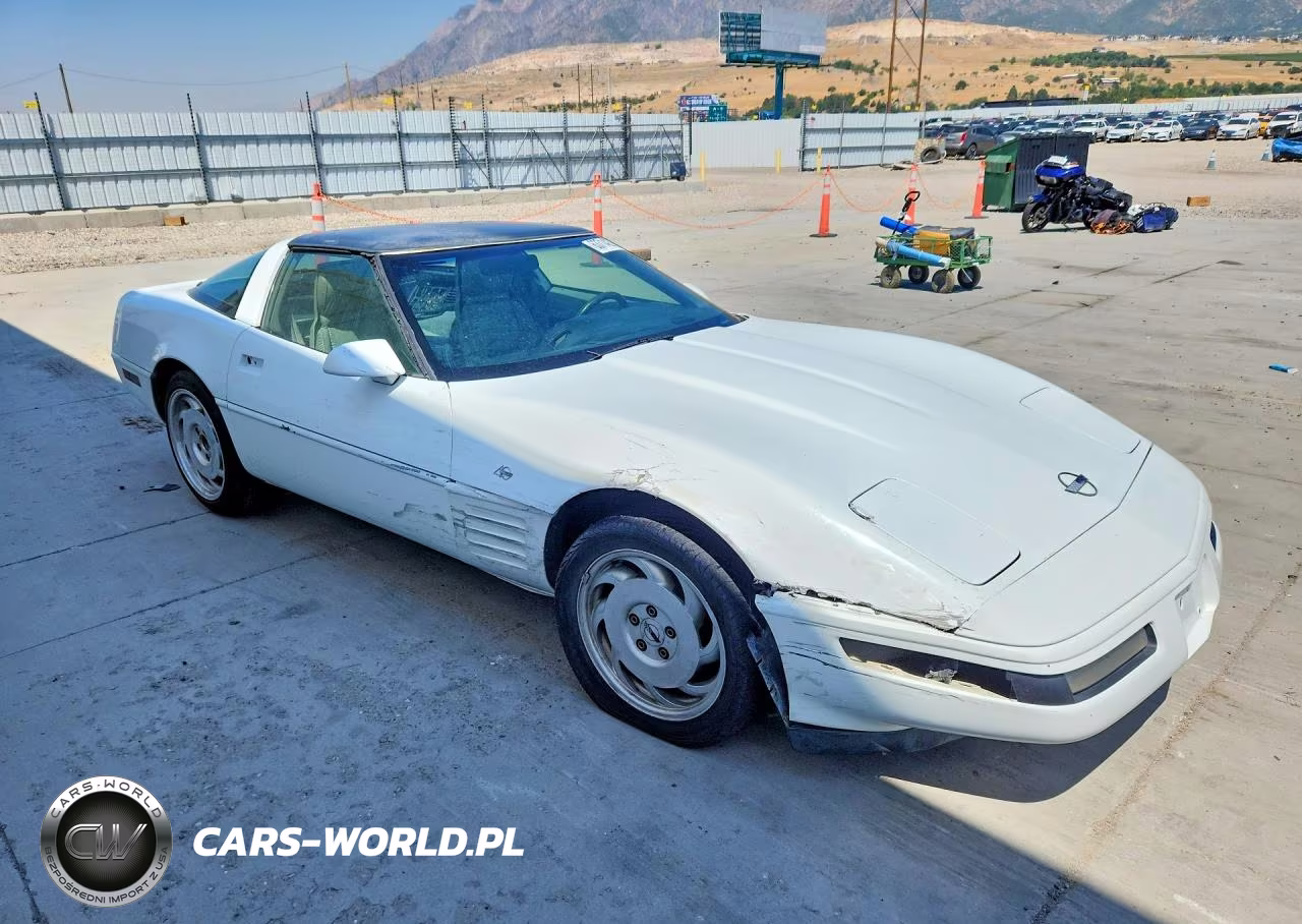 1993 Chevrolet Corvette VIN:1G1YY23P0P5102629 - 4