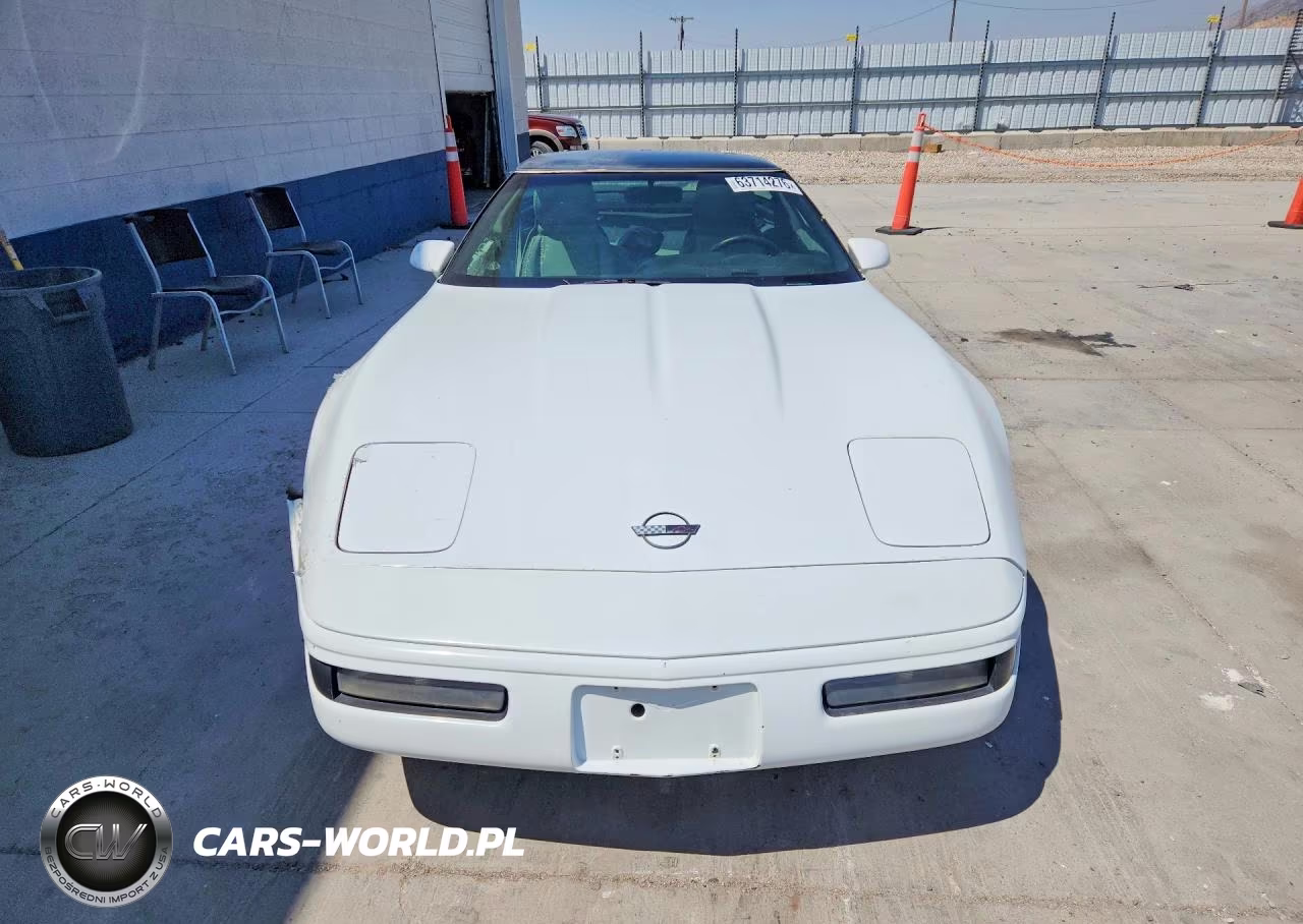 1993 Chevrolet Corvette VIN:1G1YY23P0P5102629 - 5
