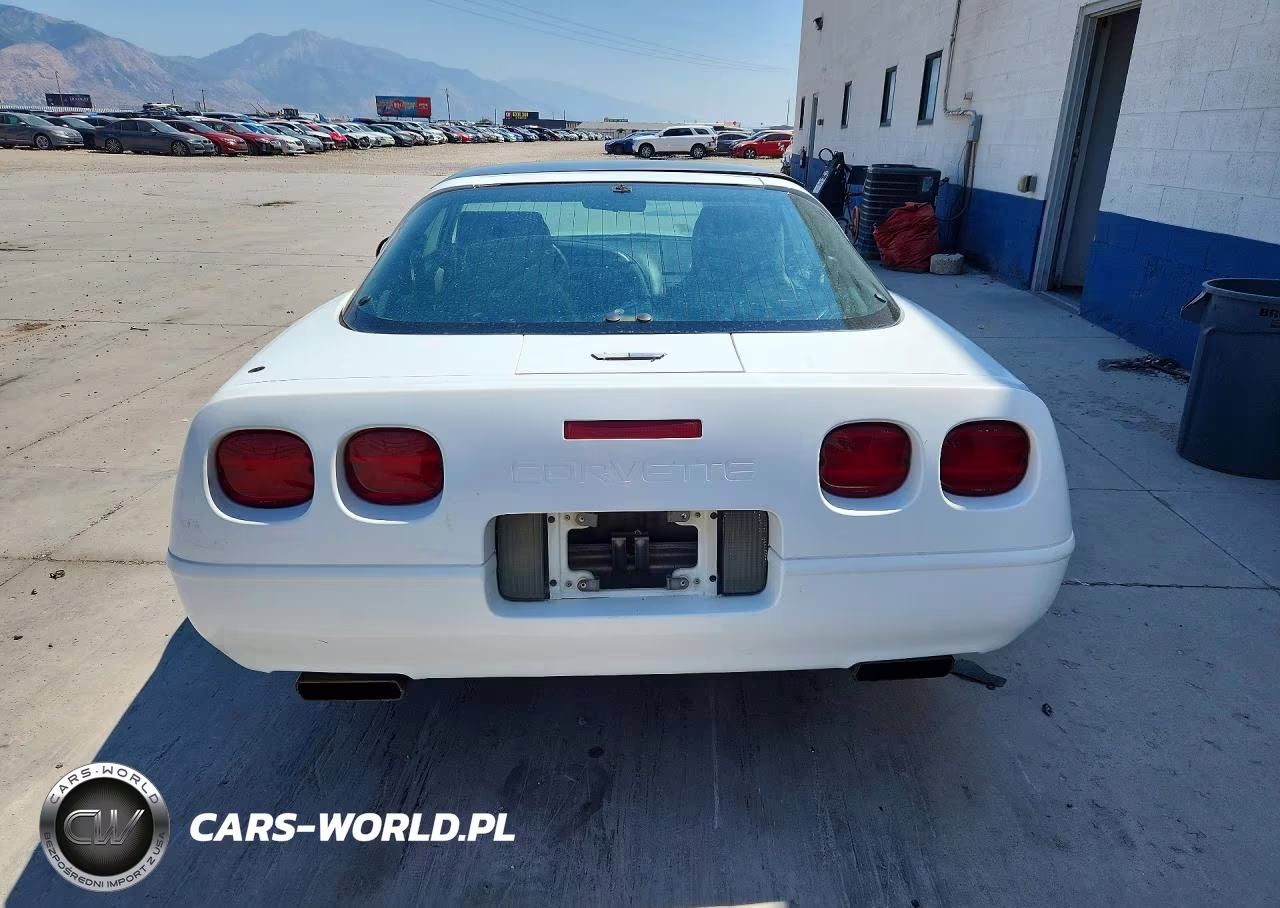 1993 Chevrolet Corvette VIN:1G1YY23P0P5102629 - 6