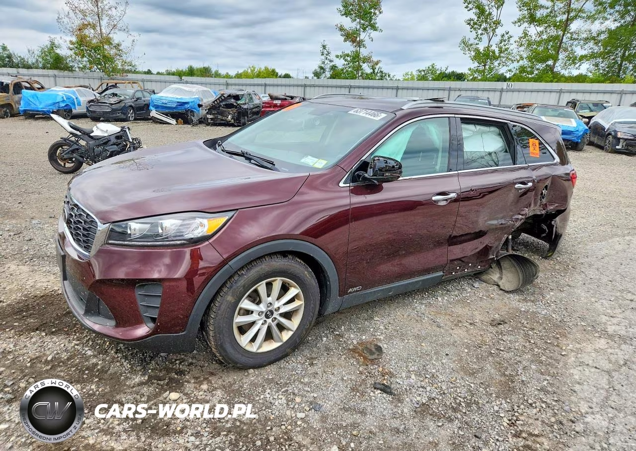 2019 Kia Sorento Lx VIN:5XYPGDA3XKG560020 - 1