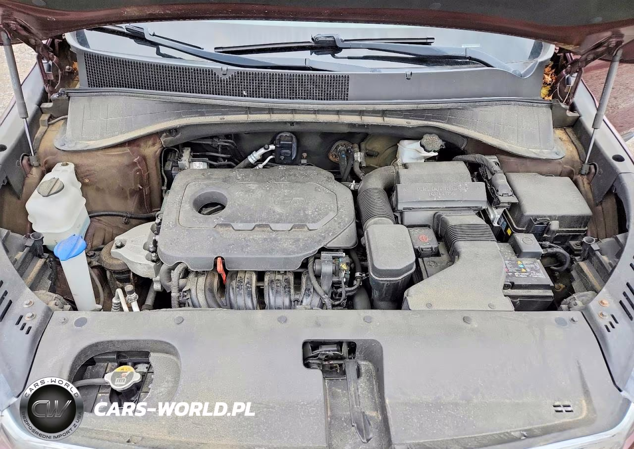 2019 Kia Sorento Lx VIN:5XYPGDA3XKG560020 - 12