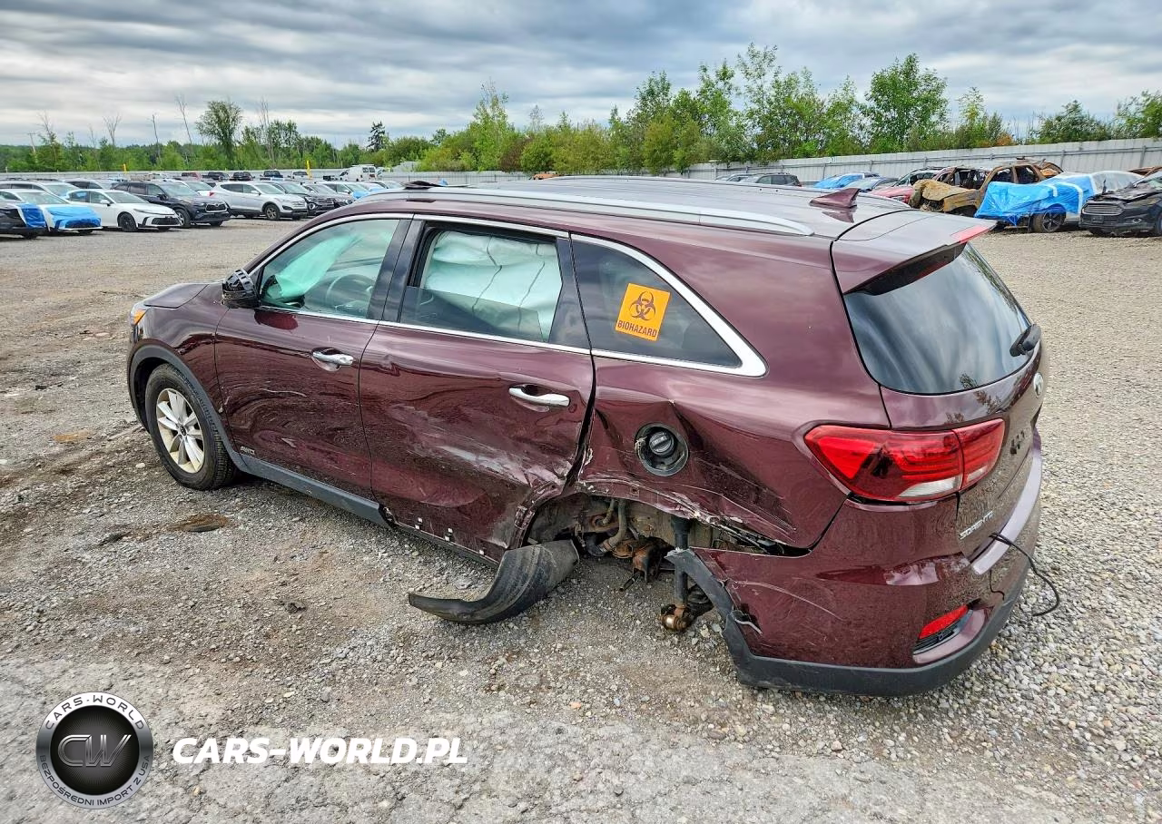 2019 Kia Sorento Lx VIN:5XYPGDA3XKG560020 - 2