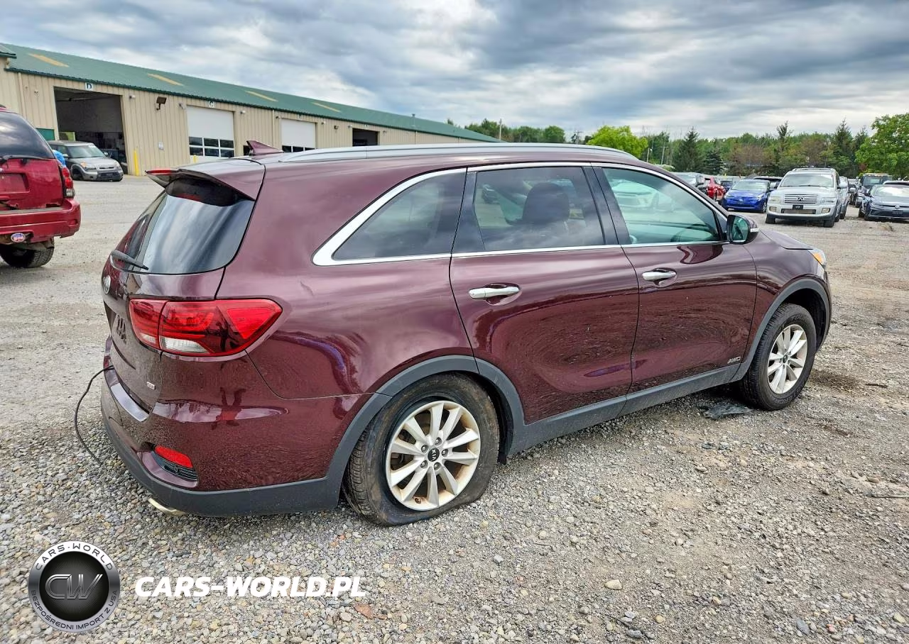 2019 Kia Sorento Lx VIN:5XYPGDA3XKG560020 - 3