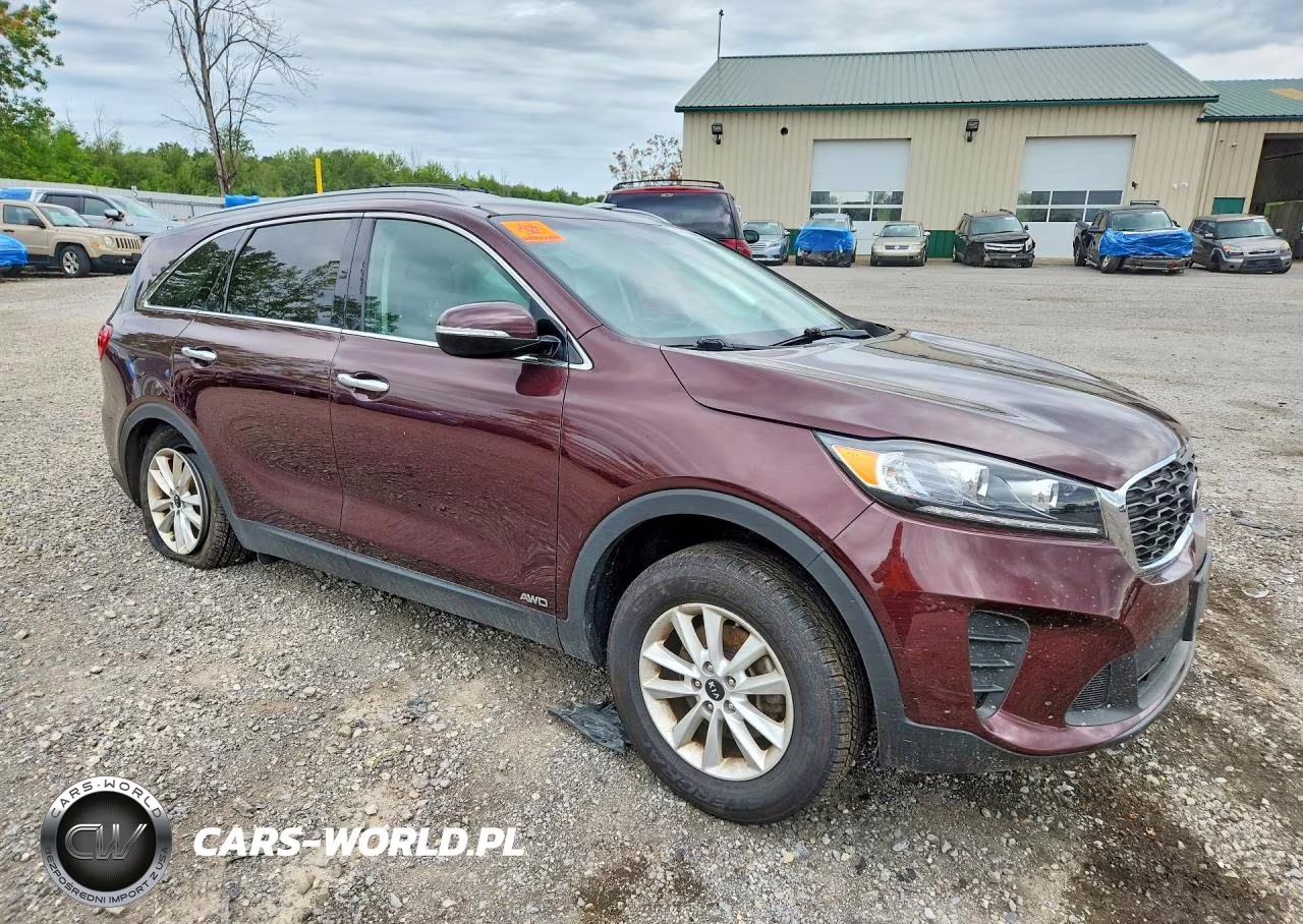 2019 Kia Sorento Lx VIN:5XYPGDA3XKG560020 - 4