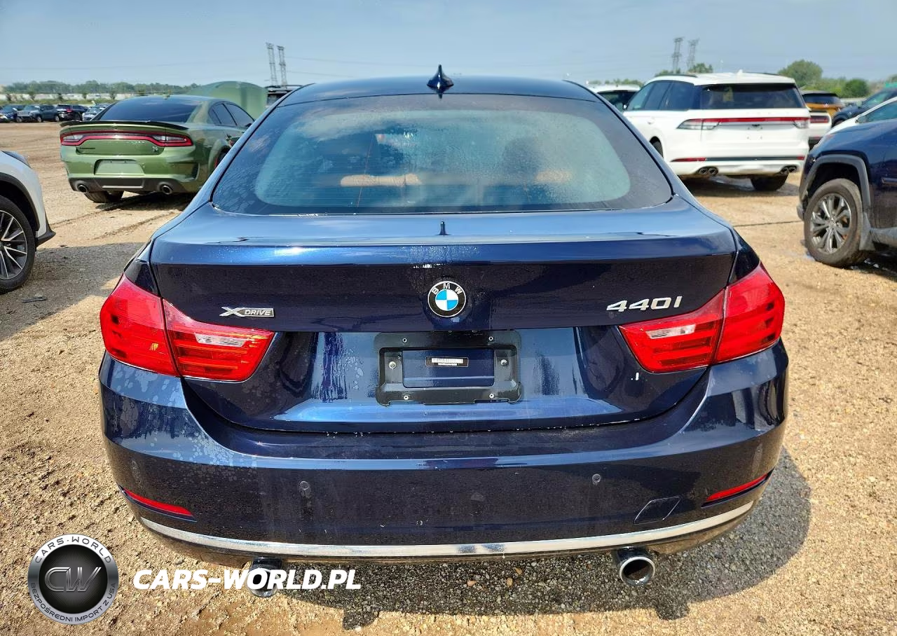 2017 BMW 440Xi Gran Coupe VIN:WBA4E5C52HG189290 - 6