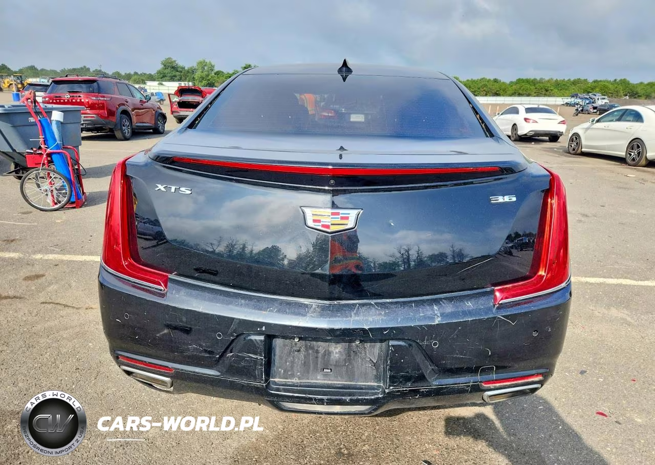 2019 Cadillac Xts Luxury VIN:2G61M5S3XK9118680 - 6