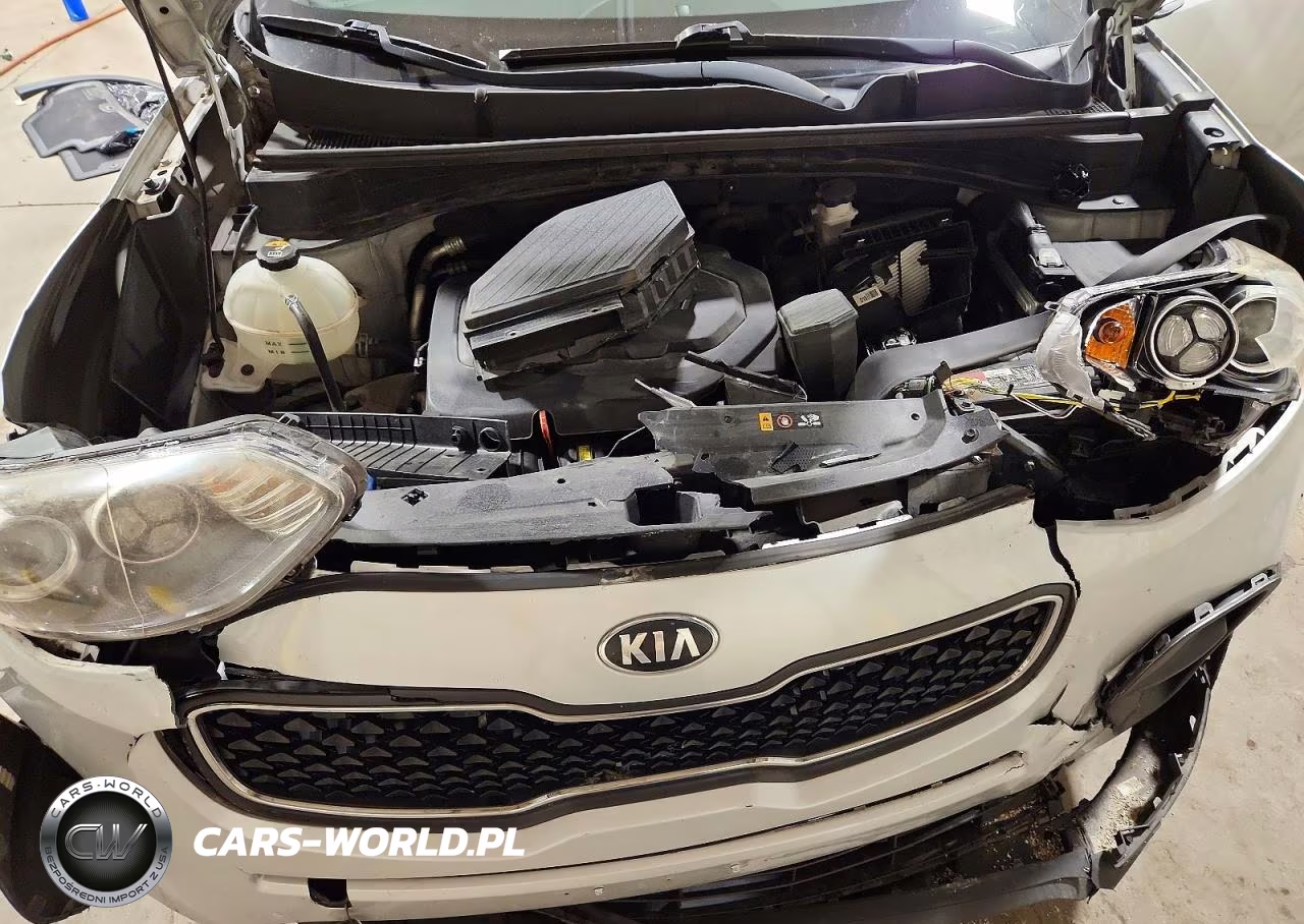 2018 Kia Sportage Lx VIN:KNDPM3AC7J7462416 - 12
