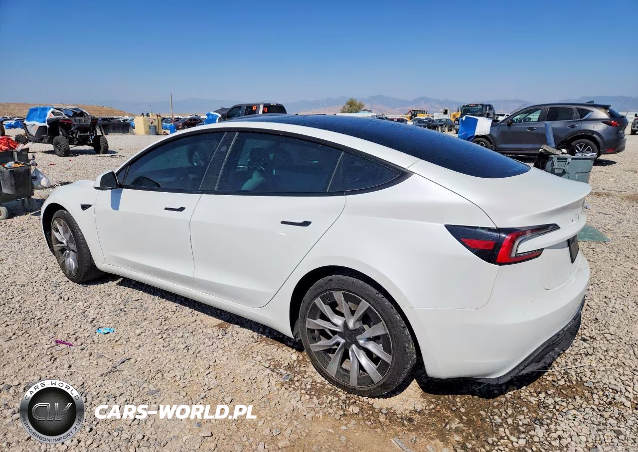 2025 Tesla Model 3 VIN:5YJ3E1EA2SF013231 - 2