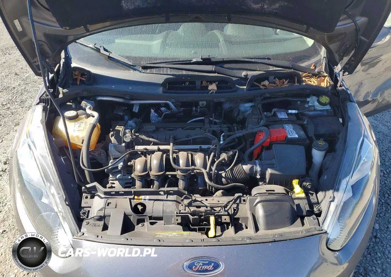2014 Ford Fiesta Se VIN:3FADP4EJ9EM114417 - 11