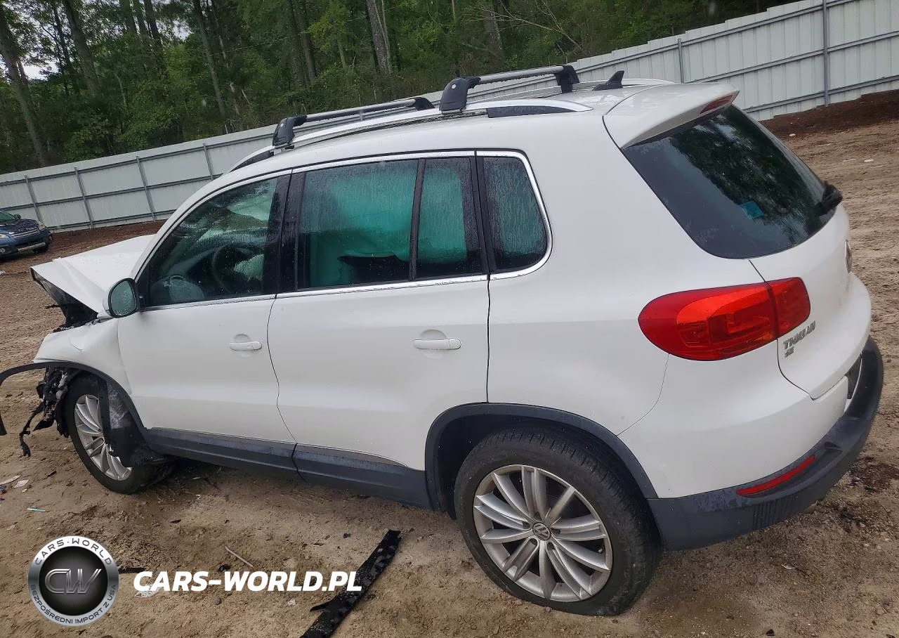 2016 Volkswagen Tiguan S VIN:WVGAV7AX0GW602250 - 2