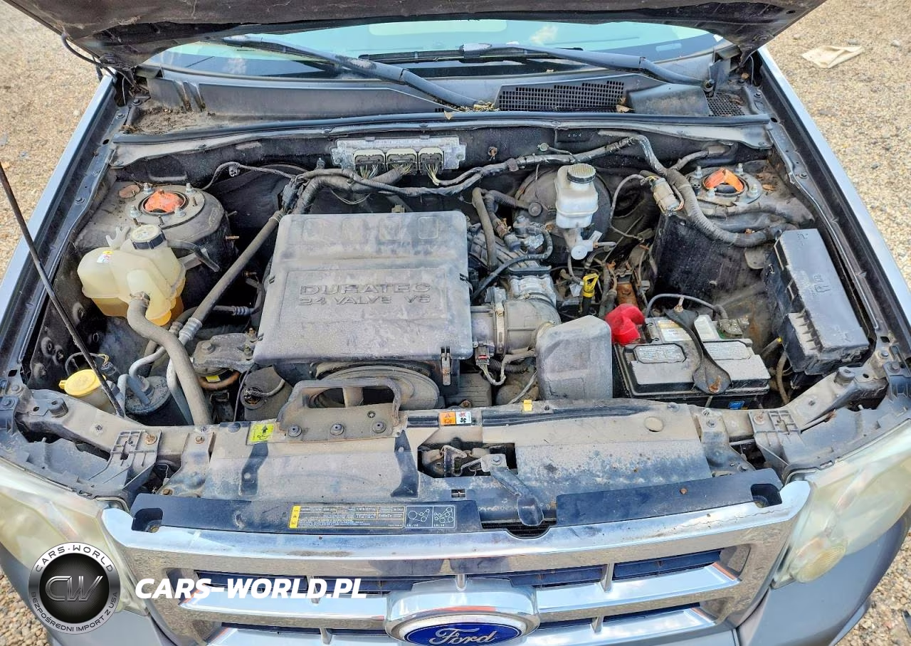 2010 Ford Escape Xlt VIN:1FMCU0DG9AKC28038 - 12