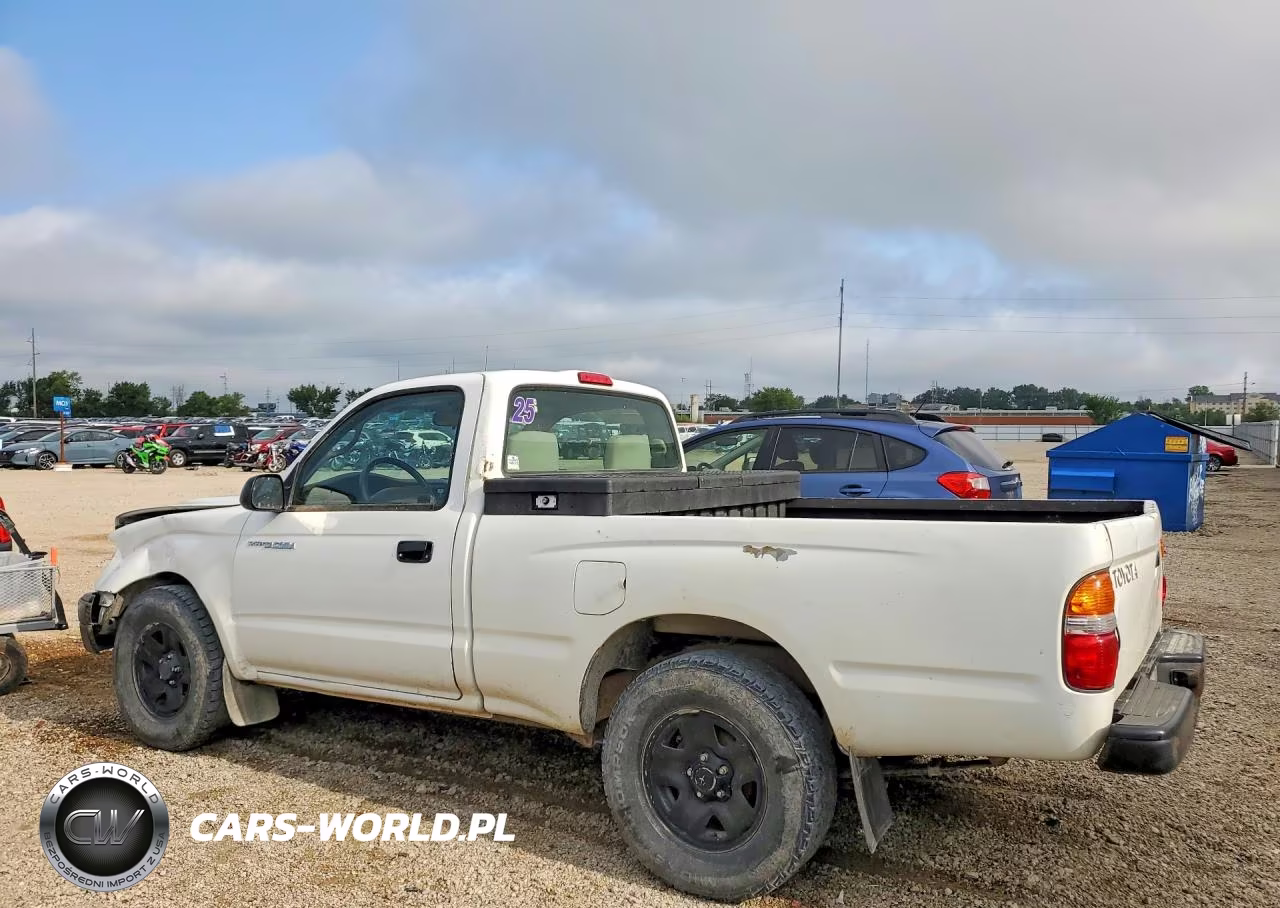 2004 Toyota Tacoma Base VIN:5TENL42N54Z335919 - 2