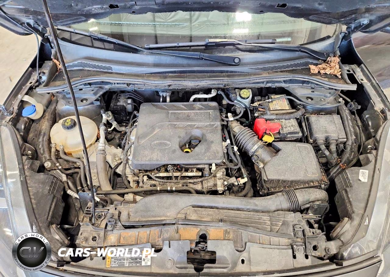 2020 Ford Escape Se VIN:1FMCU0G61LUB60490 - 12