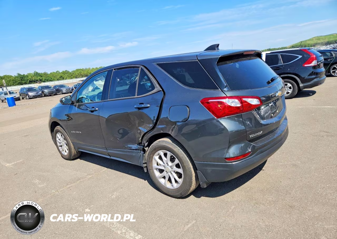 2019 Chevrolet Equinox Ls VIN:3GNAXSEV7KS677372 - 2