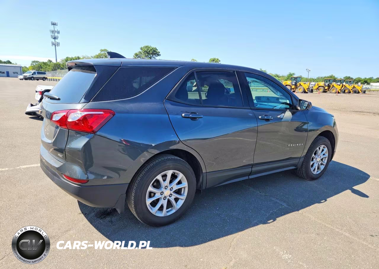 2019 Chevrolet Equinox Ls VIN:3GNAXSEV7KS677372 - 3