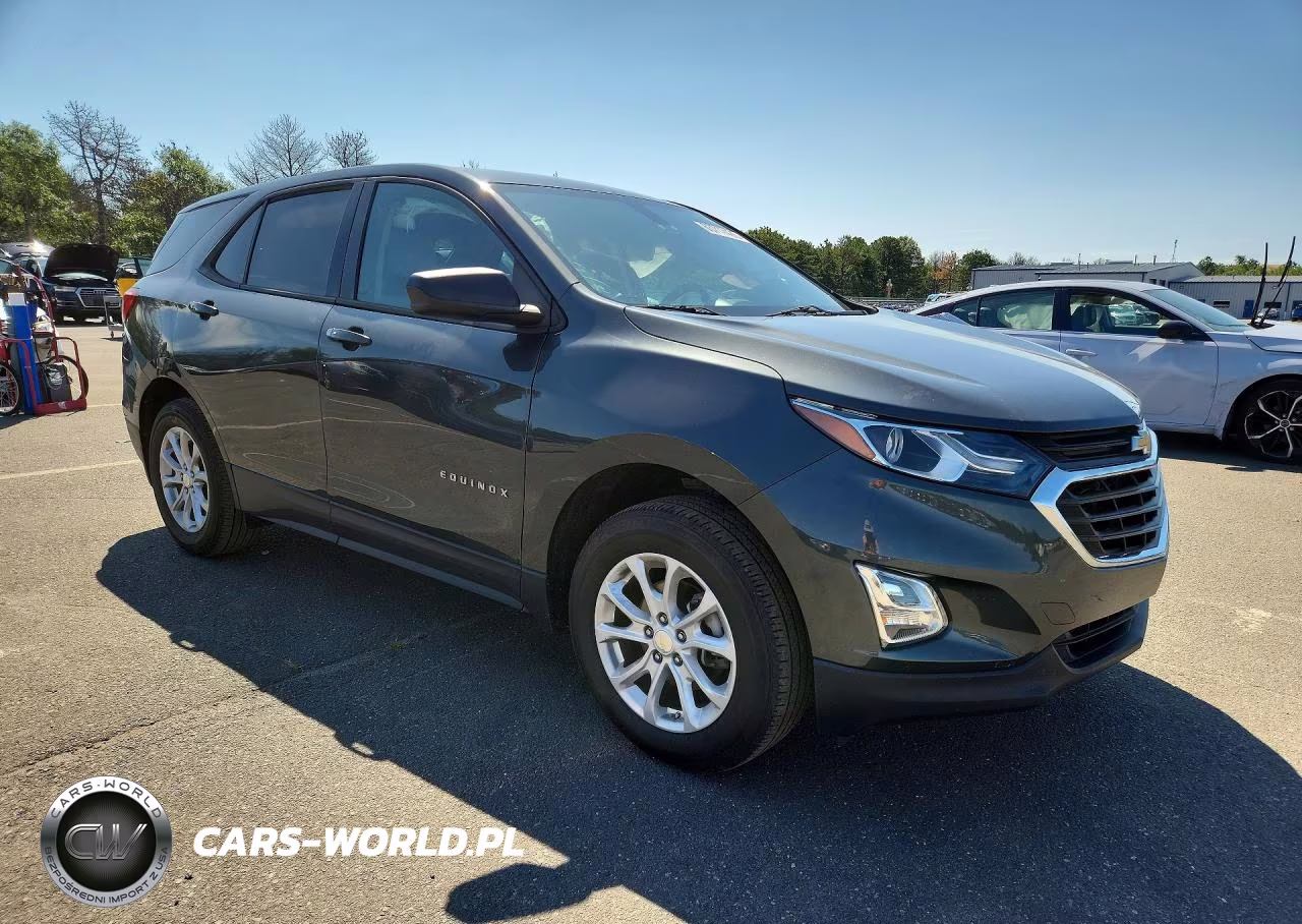 2019 Chevrolet Equinox Ls VIN:3GNAXSEV7KS677372 - 4